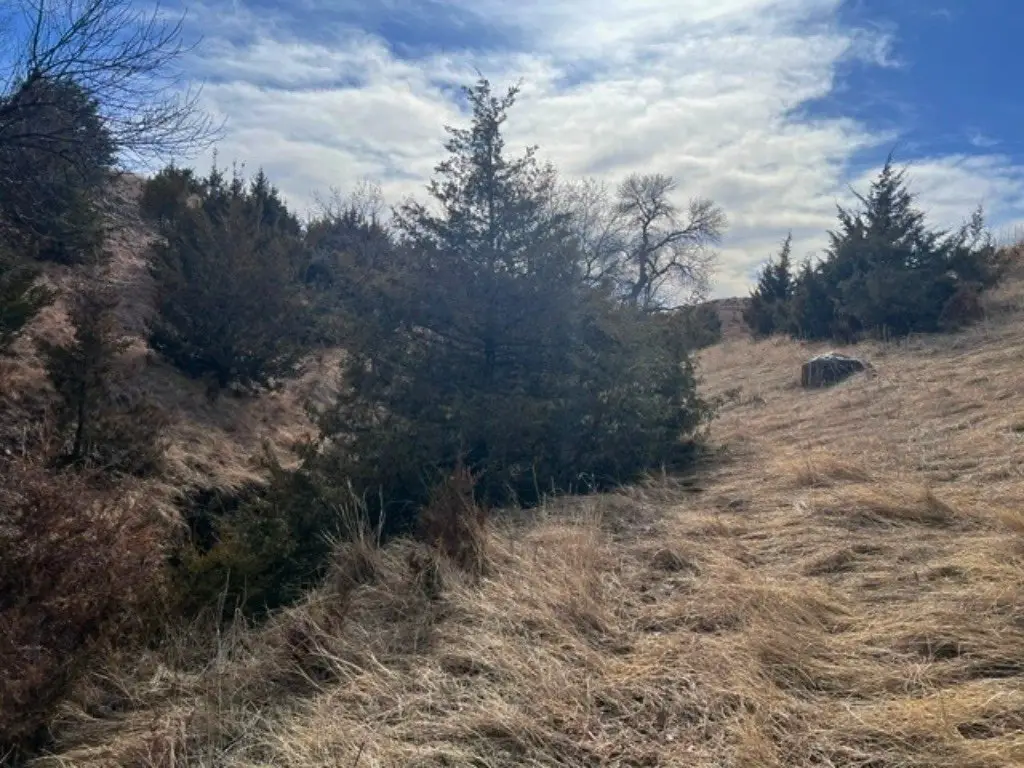 Picture 10
