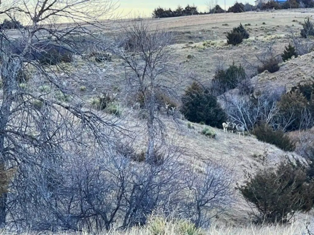 Picture 13