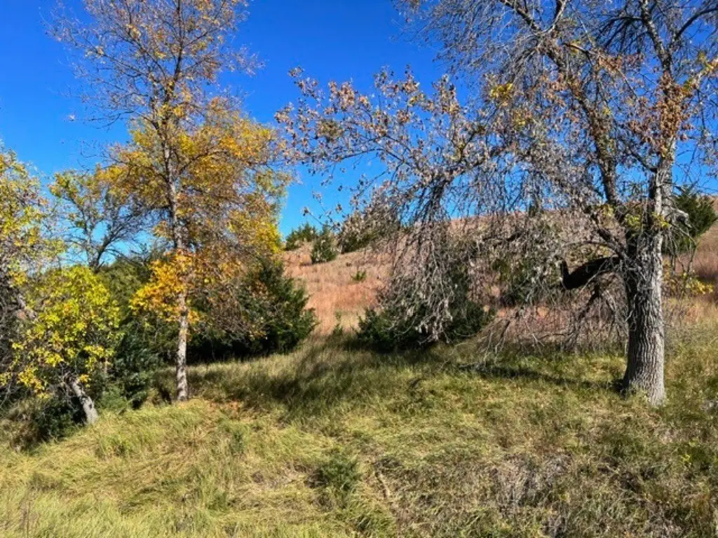 Picture 6