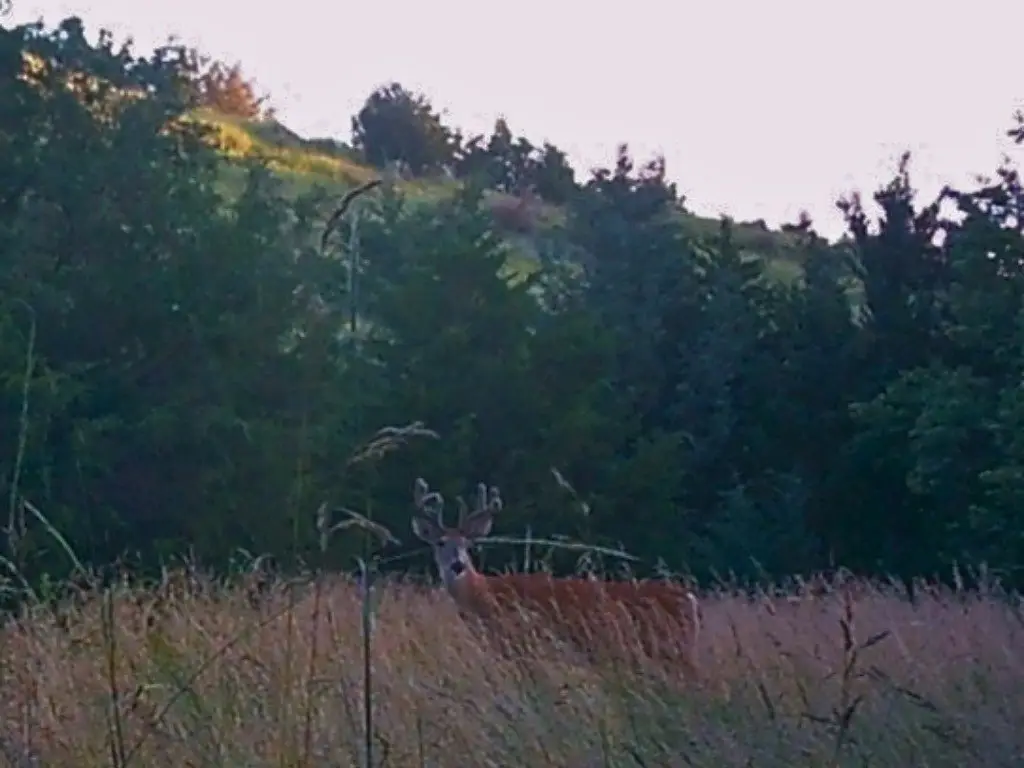 Picture 17