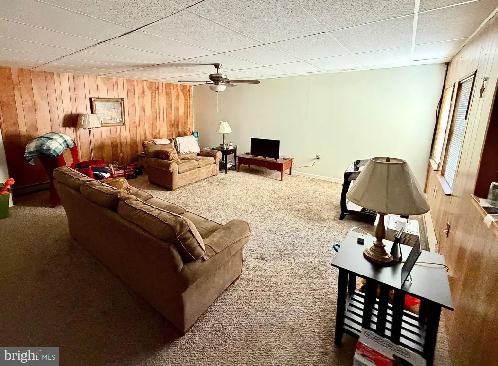 Picture 17