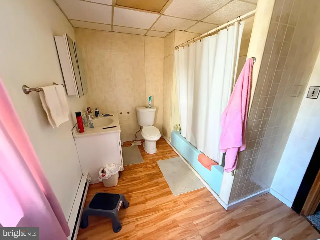 Picture 14