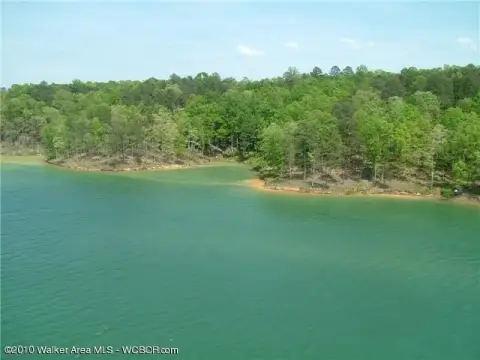 Arley, AL Land For Sale