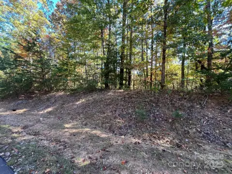 Wooded Lot in Gated Community
