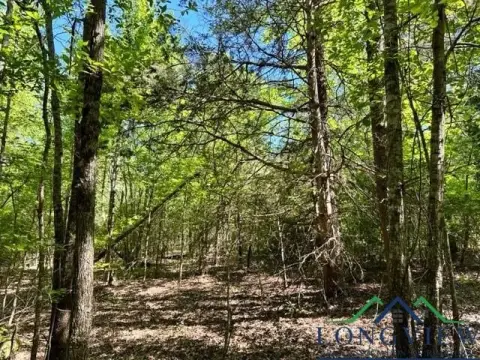 Wooded Acreage Near Gladewater, Texas