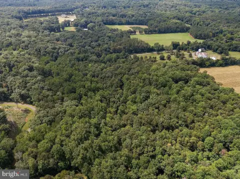Wooded Land Parcel Ready to Build