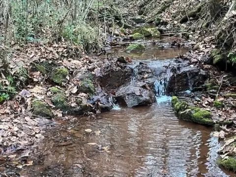 Englewood, TN Rural Forest Land