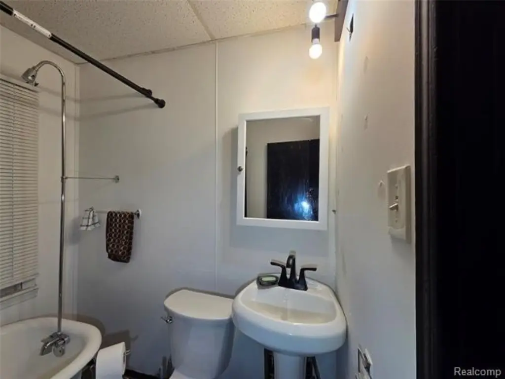 Picture 8