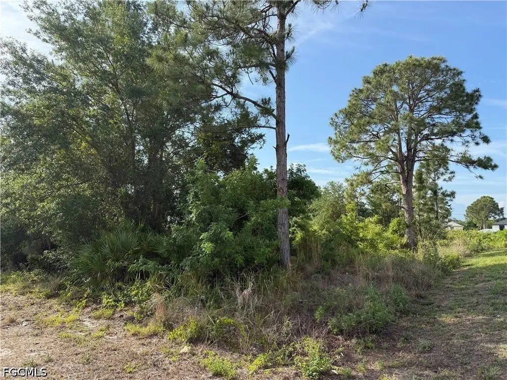 Picture 5