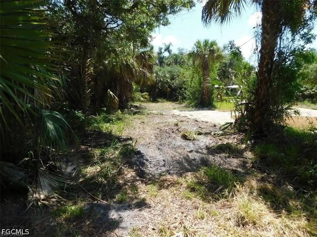 Picture 7