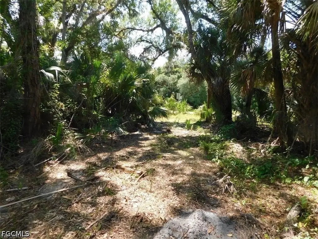 Picture 6