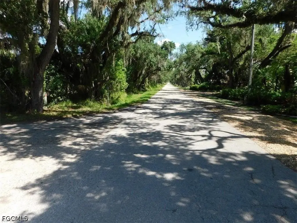 Picture 9