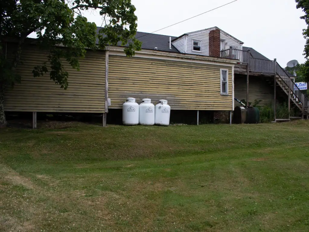 Picture 4