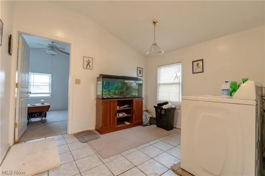 Picture 28