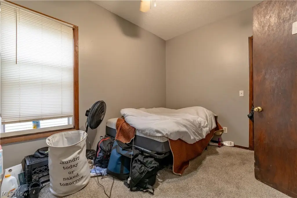 Picture 8