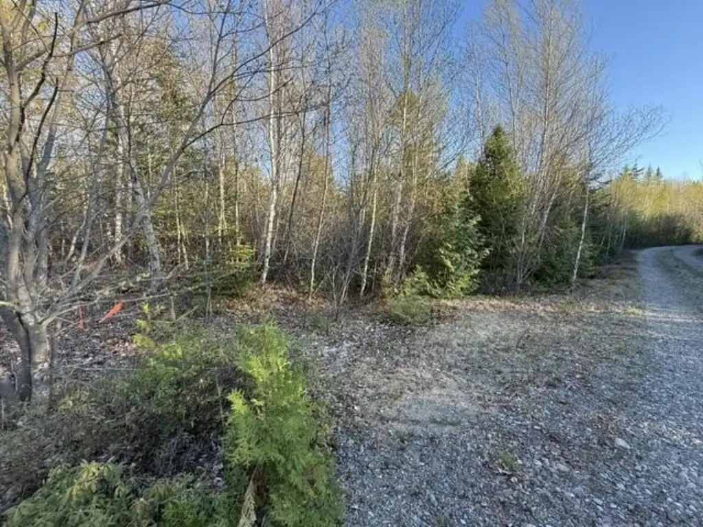 Picture 13