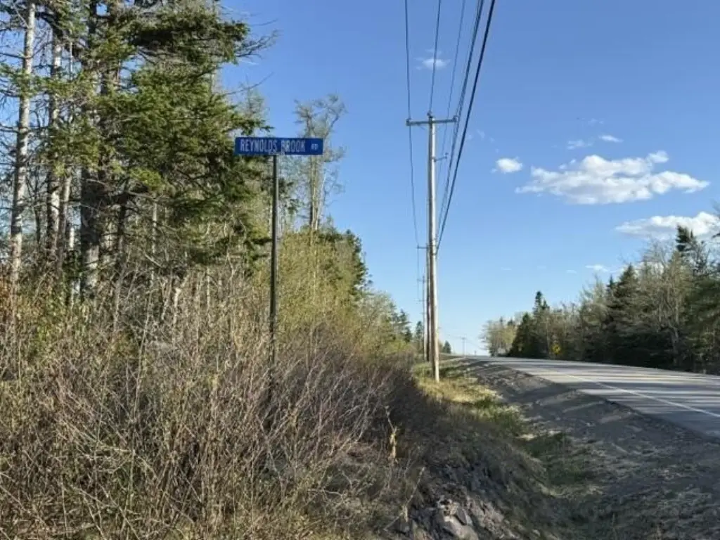 Picture 16