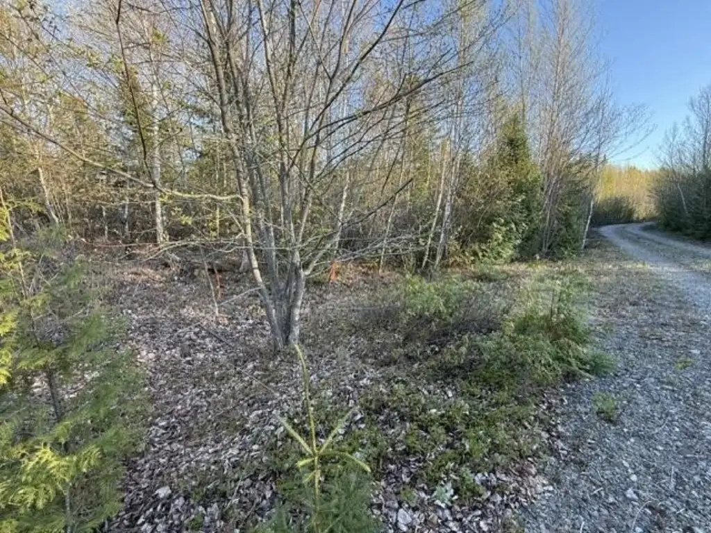 Picture 15