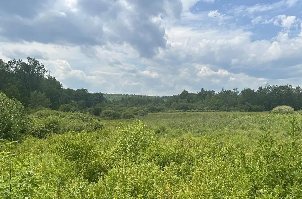 Picture 19