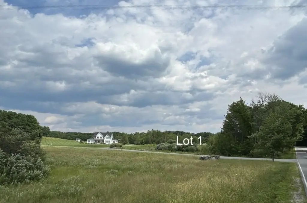 Picture 8