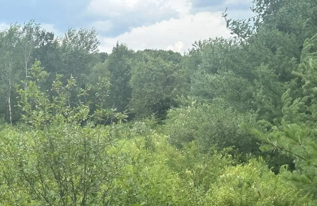 Picture 18
