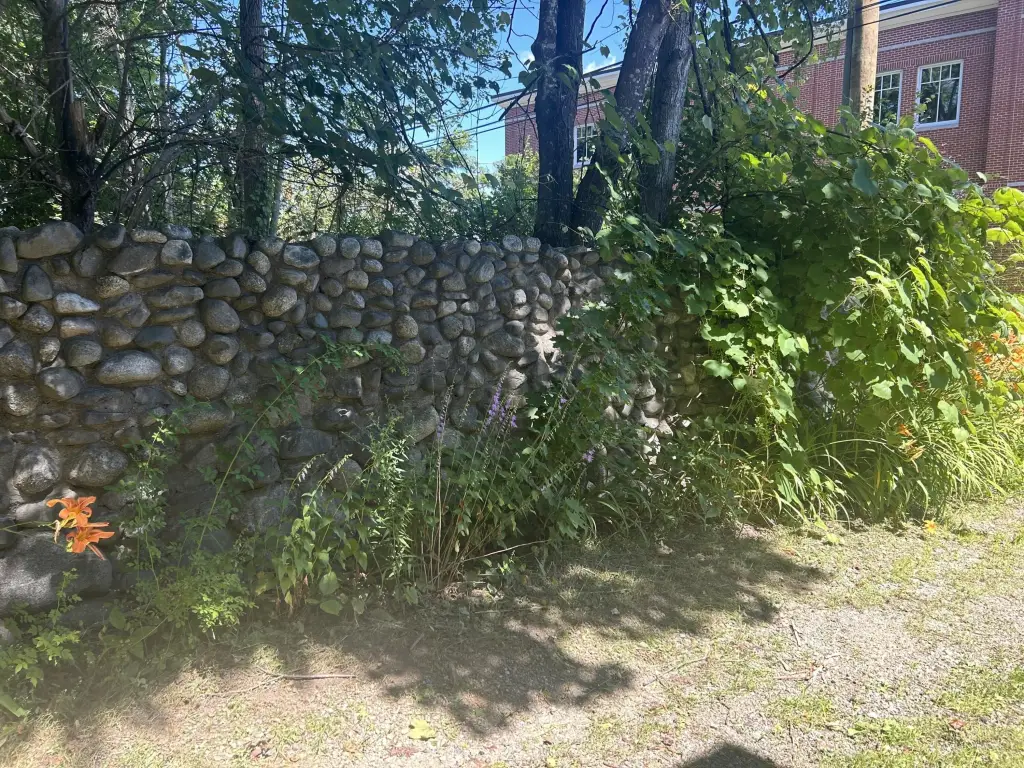 Picture 25