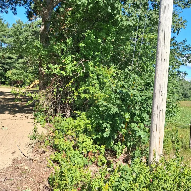 Picture 21
