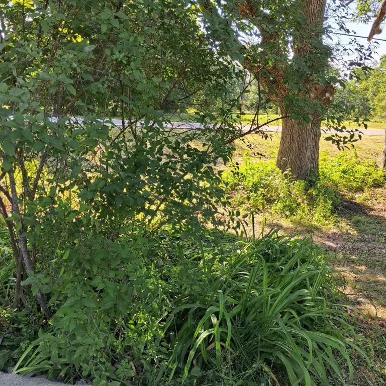 Picture 14