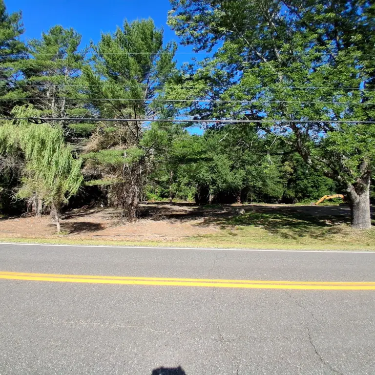 Picture 16
