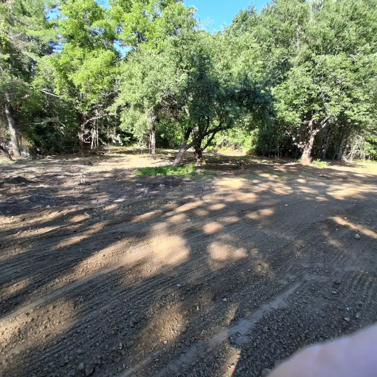 Picture 5