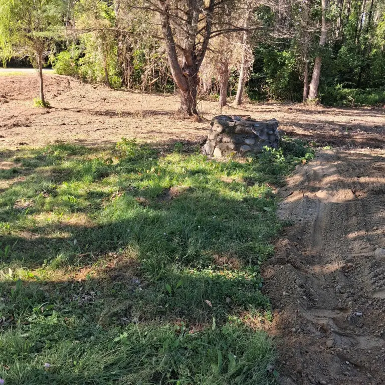 Picture 15