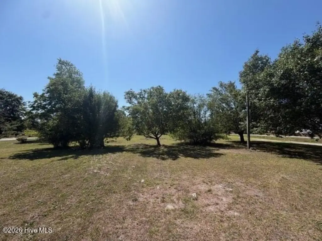Picture 6