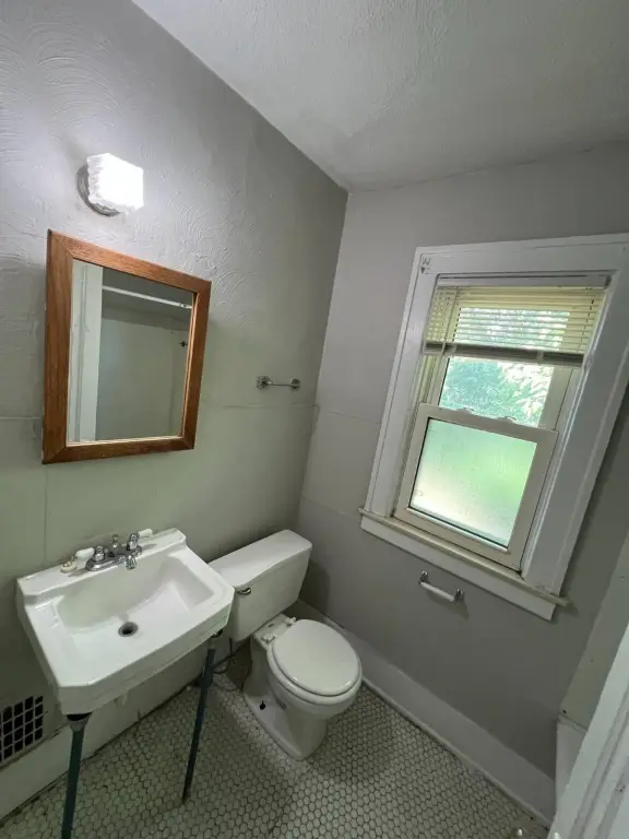 Picture 23