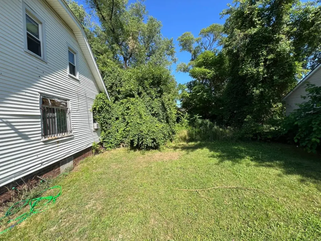 Picture 27