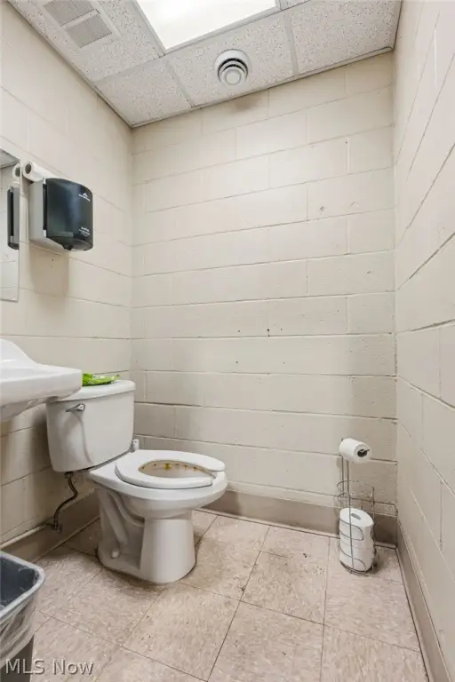 Picture 17
