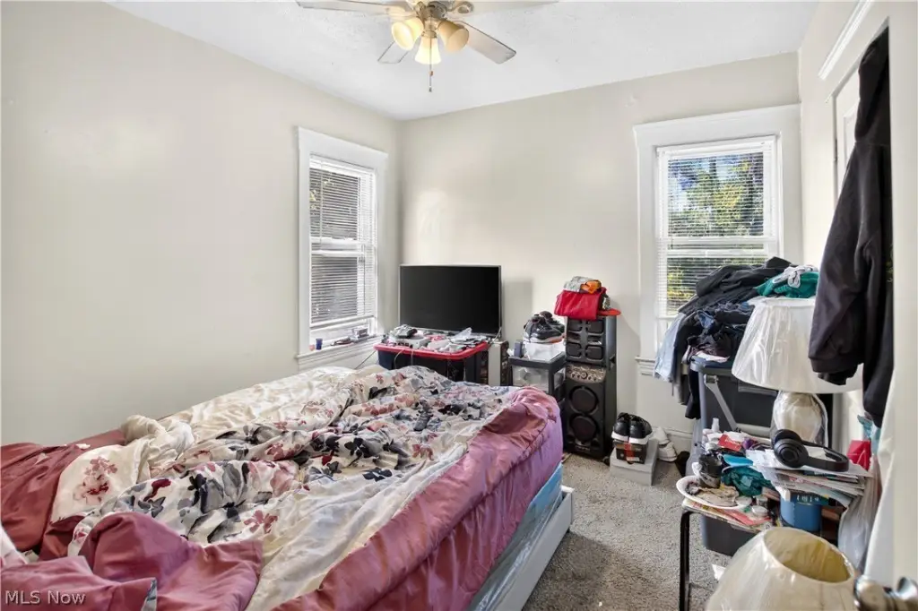 Picture 21