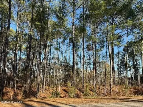 Land in Carolina Shores North