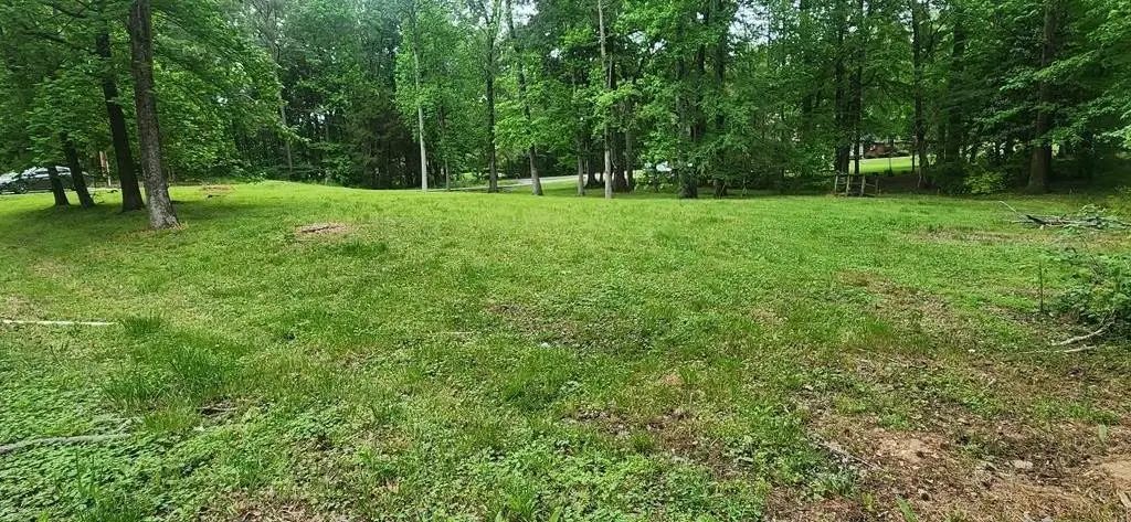 Picture 3