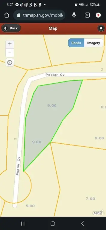 Picture 6