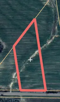 Residential Land in Slocomb, Alabama