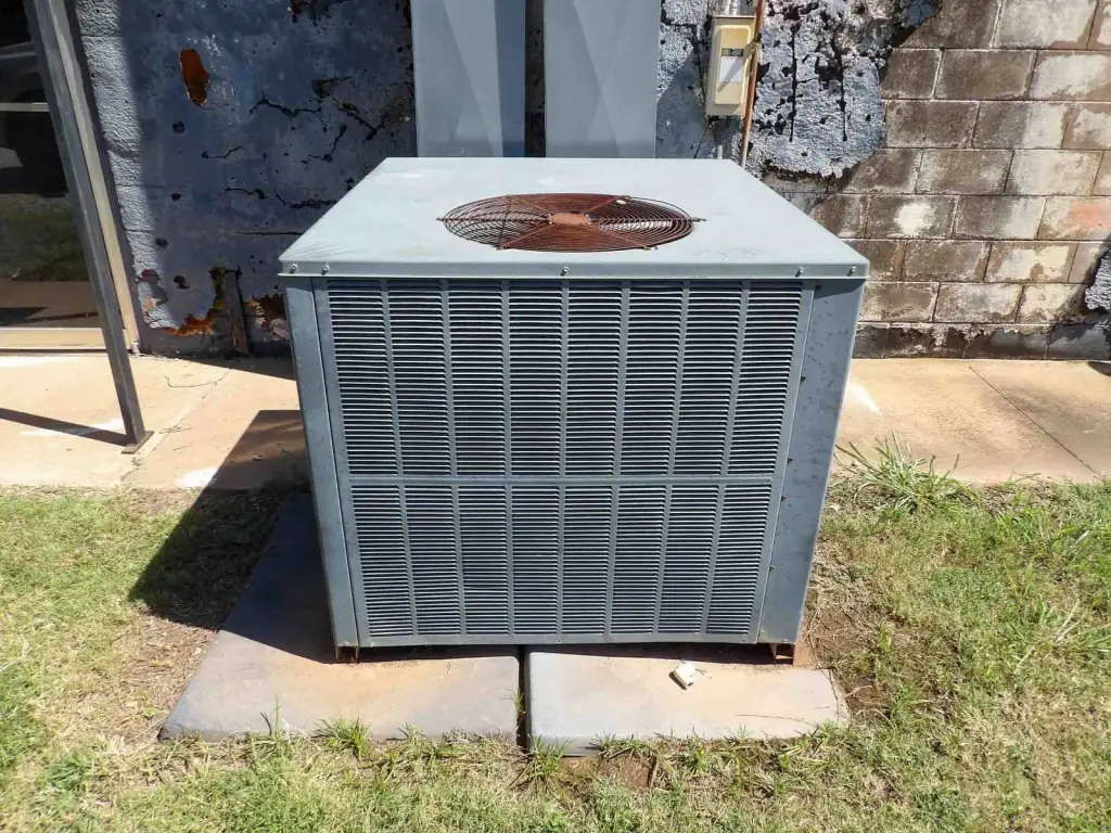 Picture 15