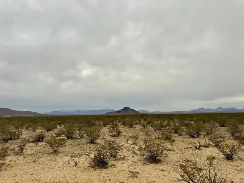 40 Acres in Terlingua, TX