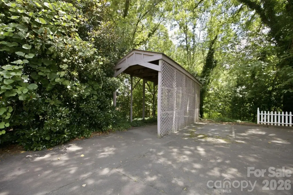 Picture 44