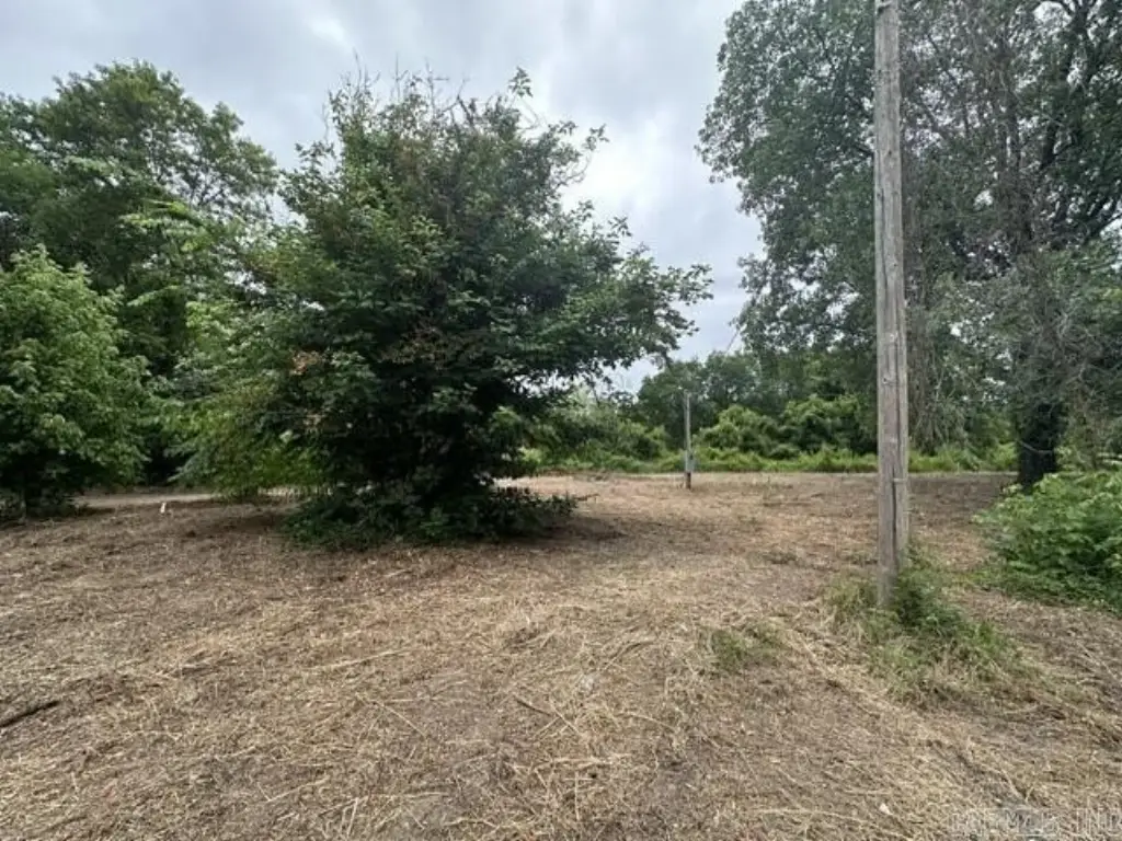 Picture 4