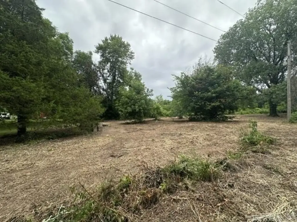 Picture 3