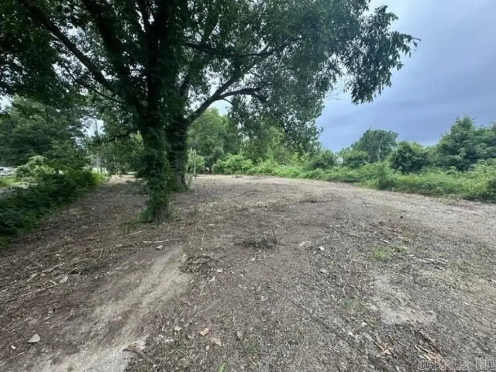 Picture 8
