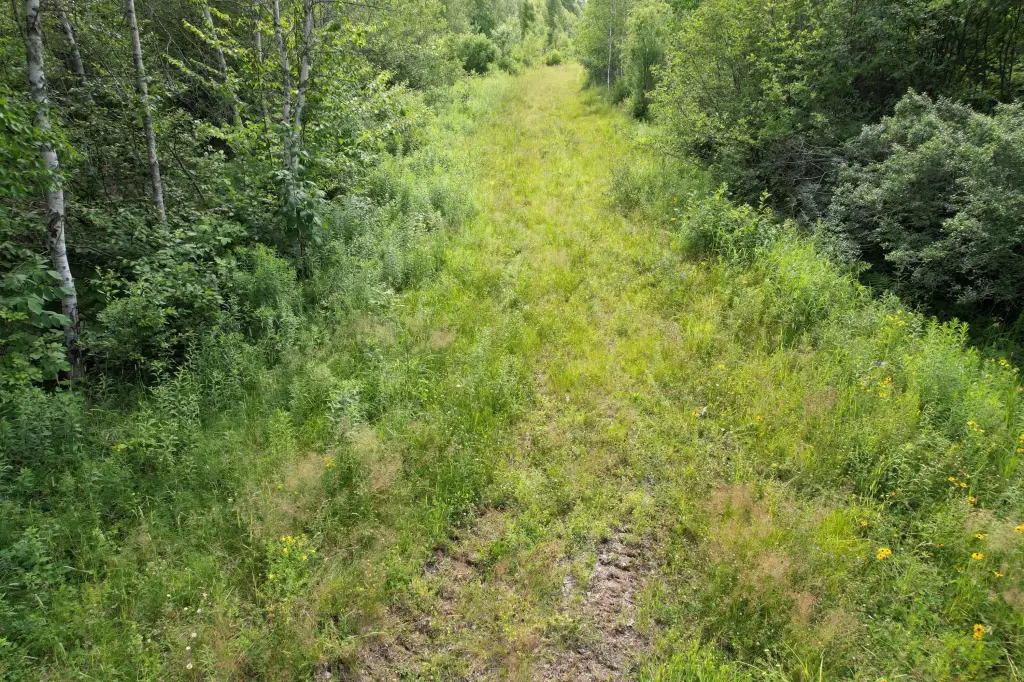Picture 8