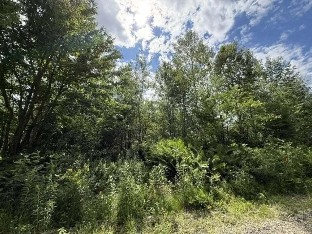 Picture 22