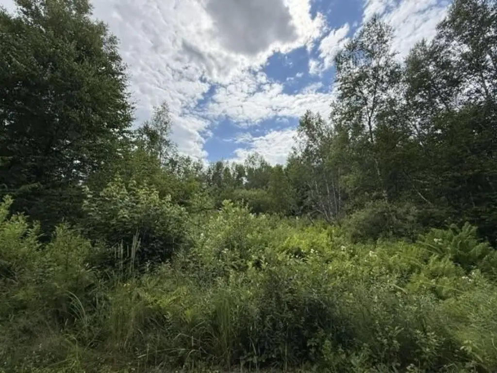 Picture 32