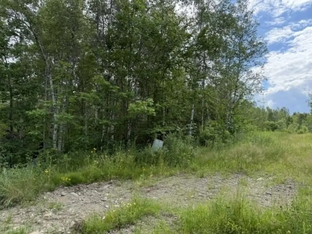 Picture 26